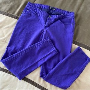 Purple Colored Jeans